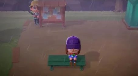 猫咪盲盒真正的猫咪,猫咪盲盒无毛猫