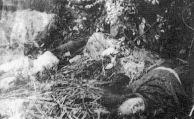 东北二王覆灭记大揭秘,90年代东北二王犯罪事件