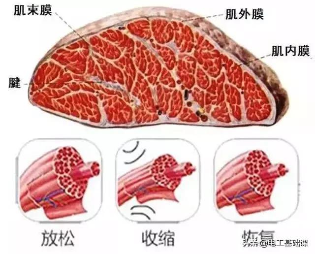 雷军回应核心技术,雷军新黑科技