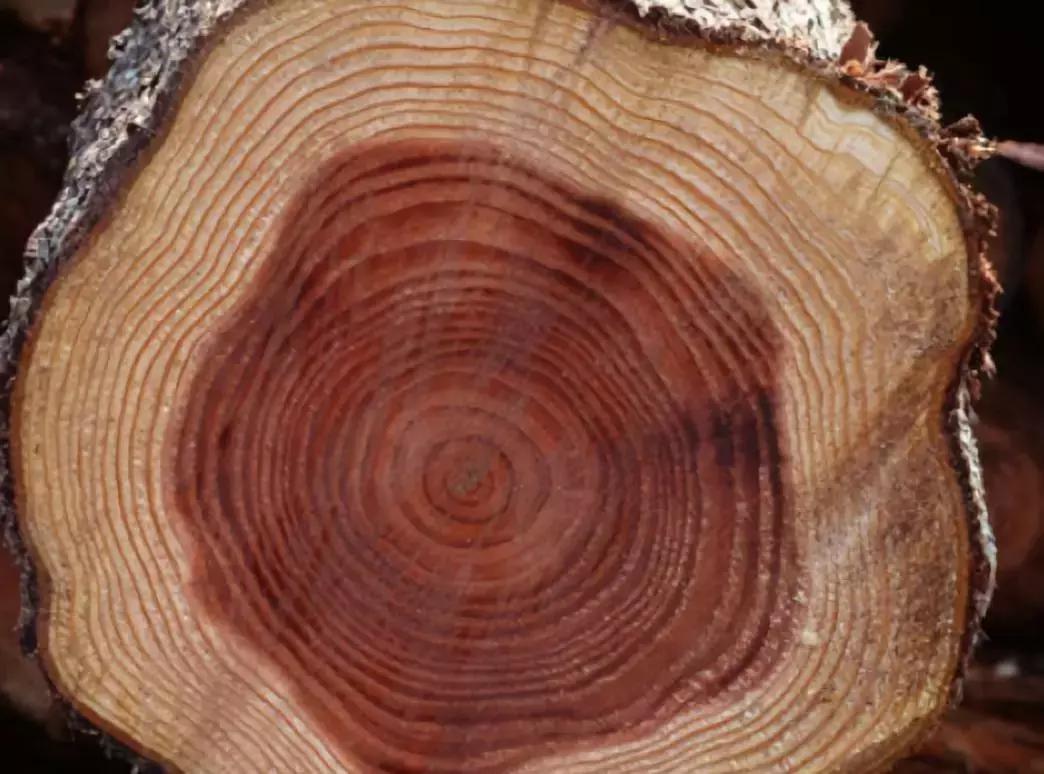 最便宜的红木种类红花梨,大批假冒伪劣红木家具充斥市场