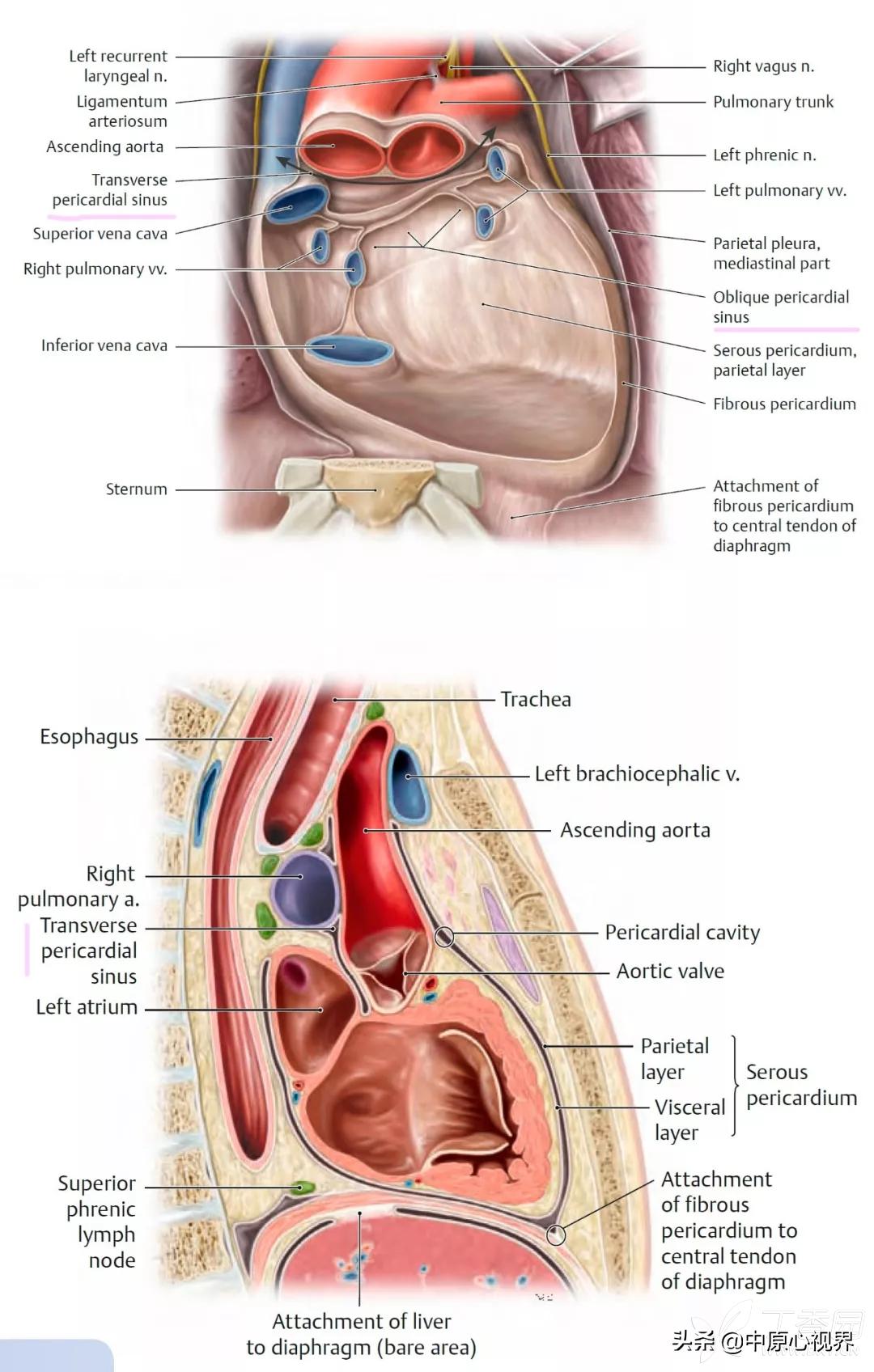 蹇冭剰瑙ｅ墫瀹為獙,蹇冭剰瑙ｅ墫鎵嬫湳