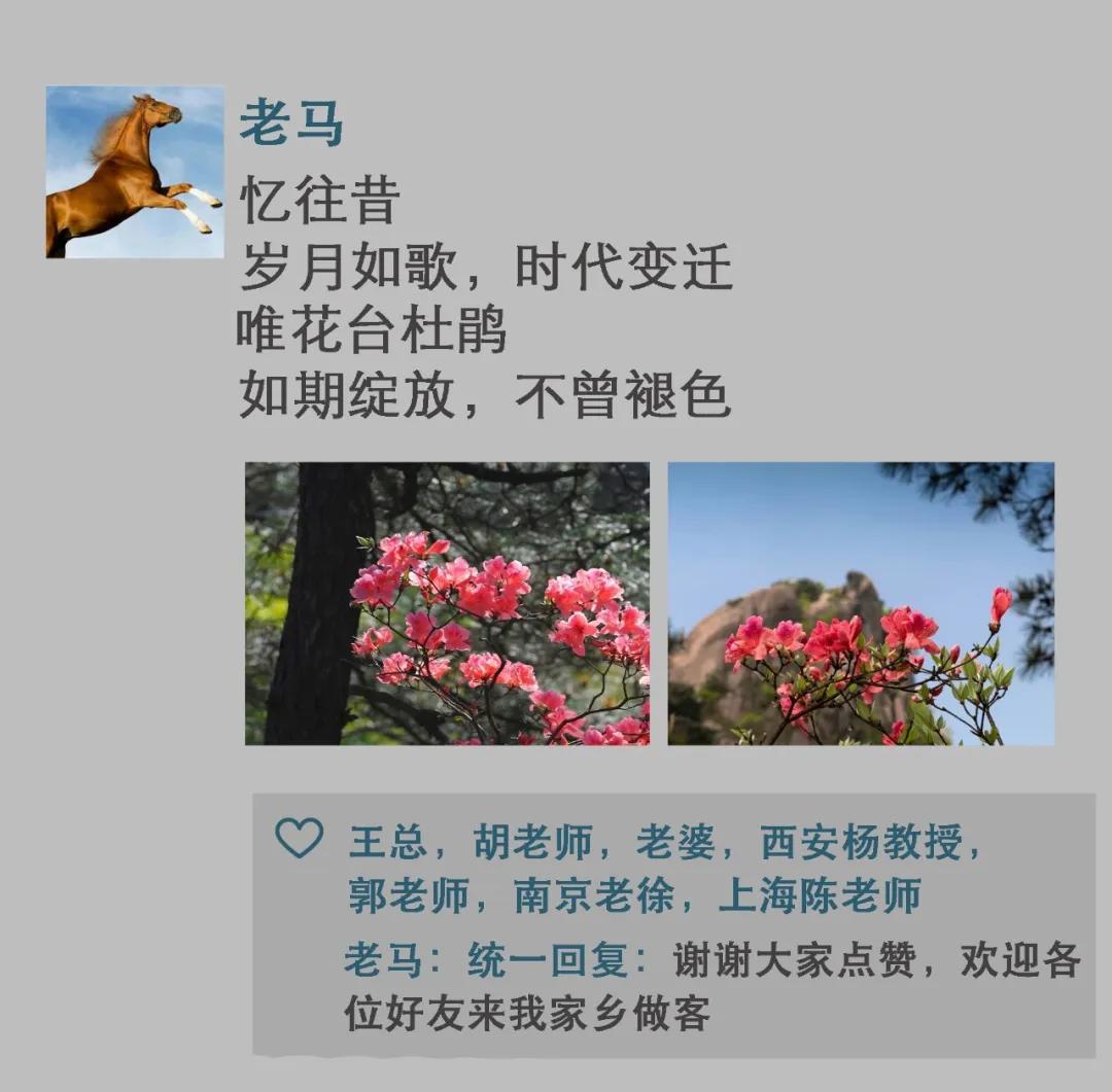 五一假期九华山人多吗,五一长假九华山