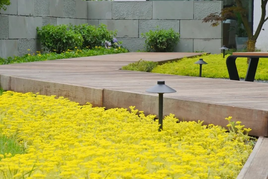 瑙呰叮灏忛晣褰窞,瑙呰叮灏忛晣宕囧窞