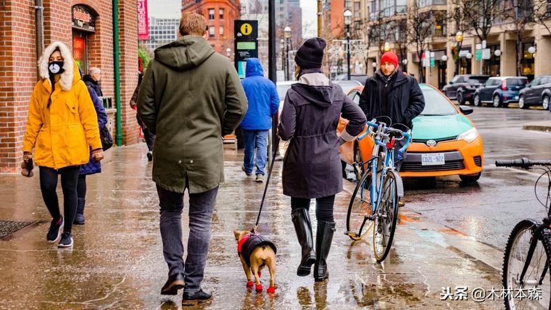 加拿大多伦多生活日记,加拿大多伦多留学生活纪实