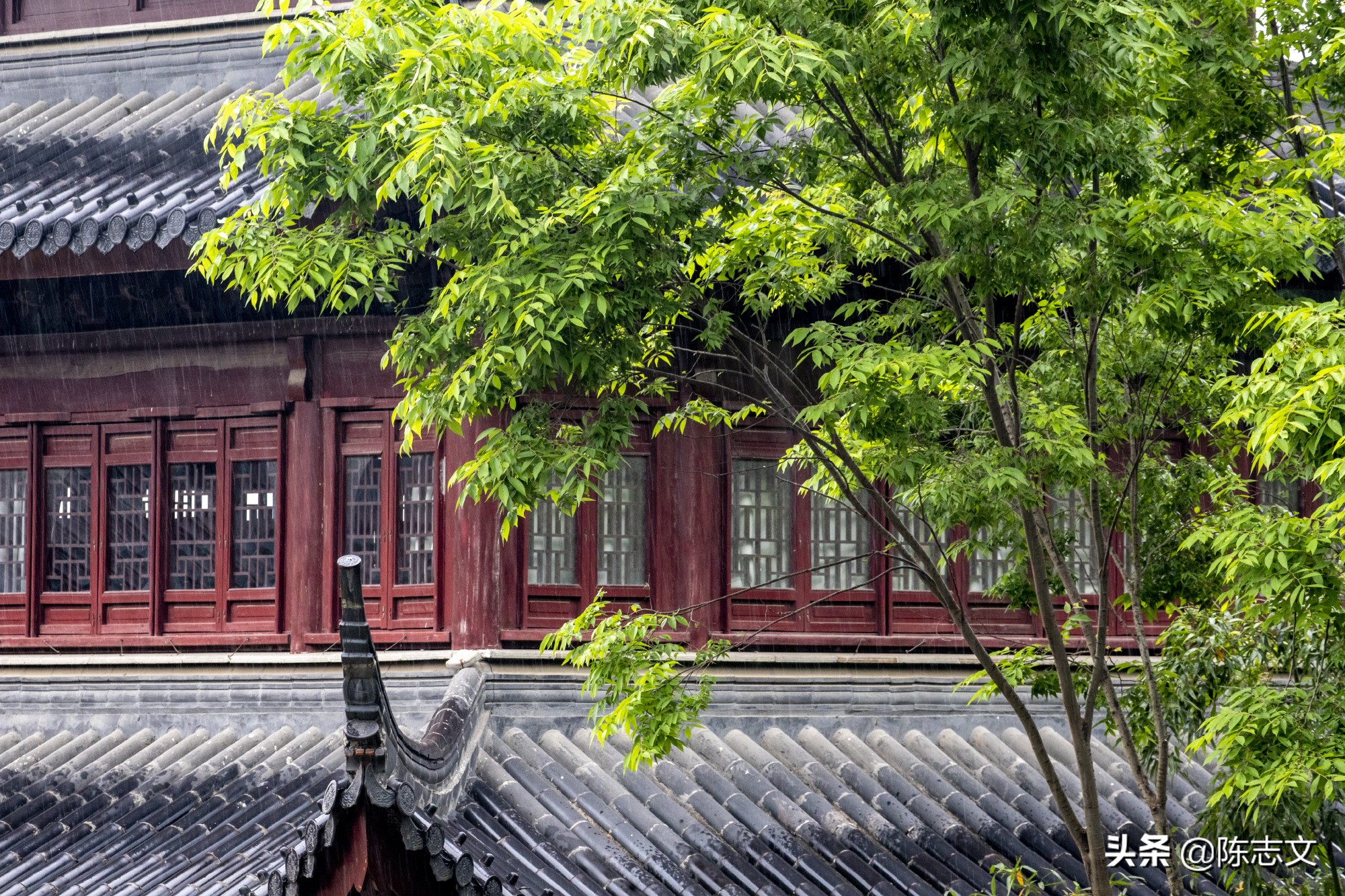 苏州有一座单独的山,苏州有座佛的山