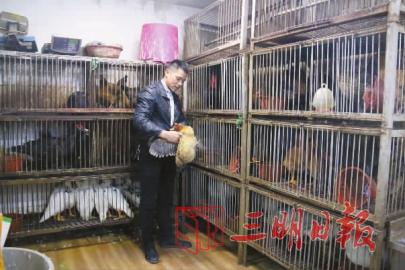 生鲜电商老兵,退役老兵转行