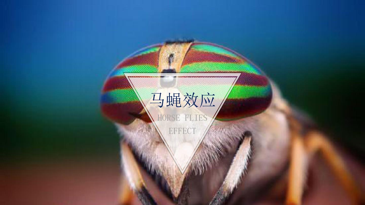 当管理太随便只会让员工得寸进尺,遇到不服气的员工该怎么管理