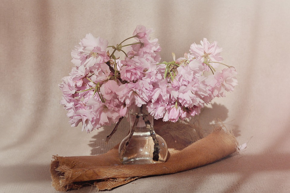 内心极度阴暗的人见不得别人好,内心阴暗的人永远是见不得光的