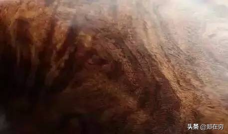 最好前五种的木材,九种常见木材