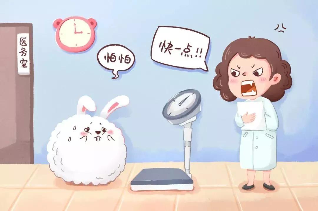 看图写话万能开头范文,看图写话万能模板