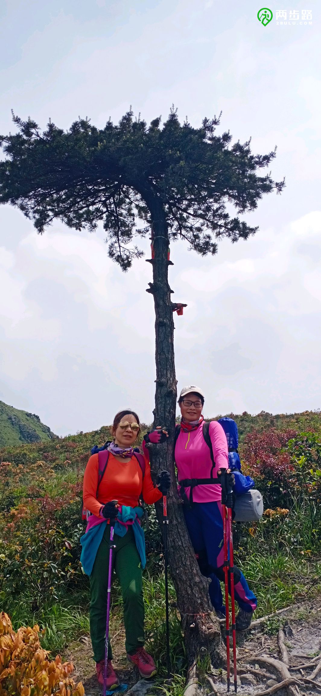 二天三夜邮轮游,两天三夜的海上旅行