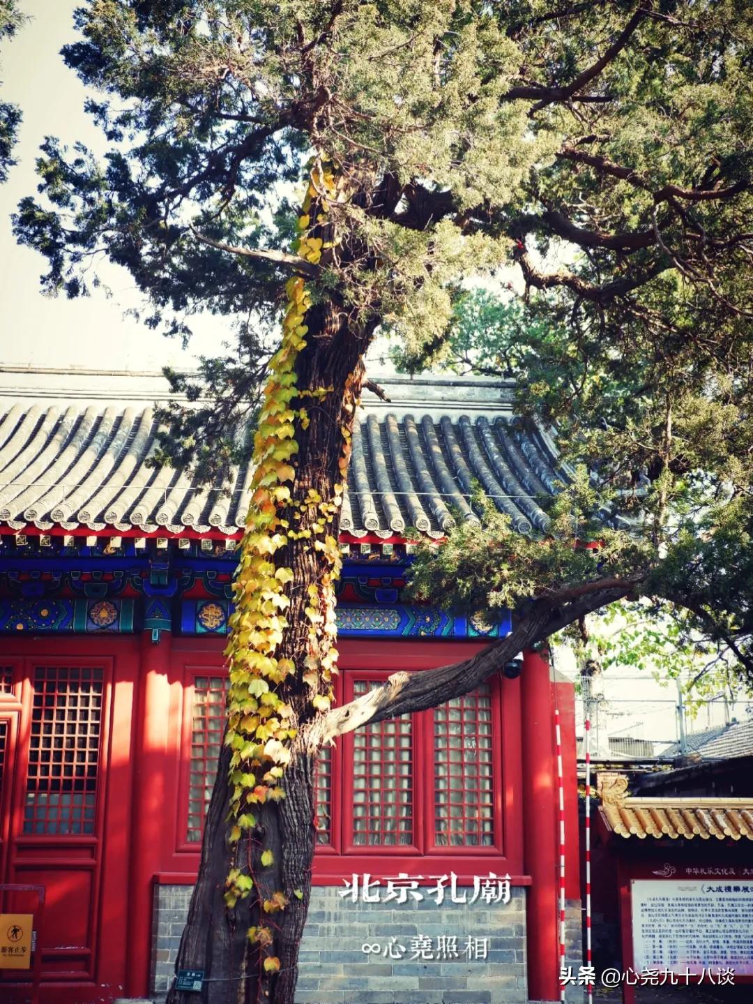 北京孔庙游览攻略,孔庙历经了700多年的历史文化积淀