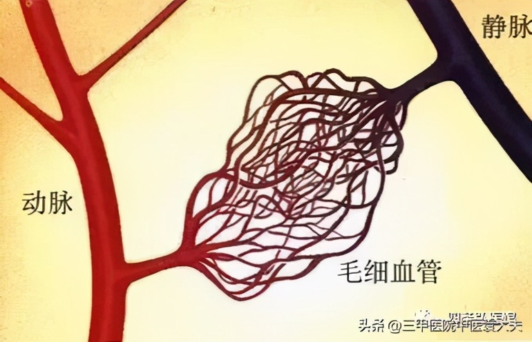 迈入中医之门第89篇：中医视角解读“疼痛论治”