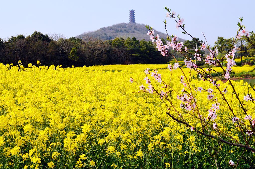 高淳国际慢城文化旅游,高淳国际慢城旅游项目有哪些