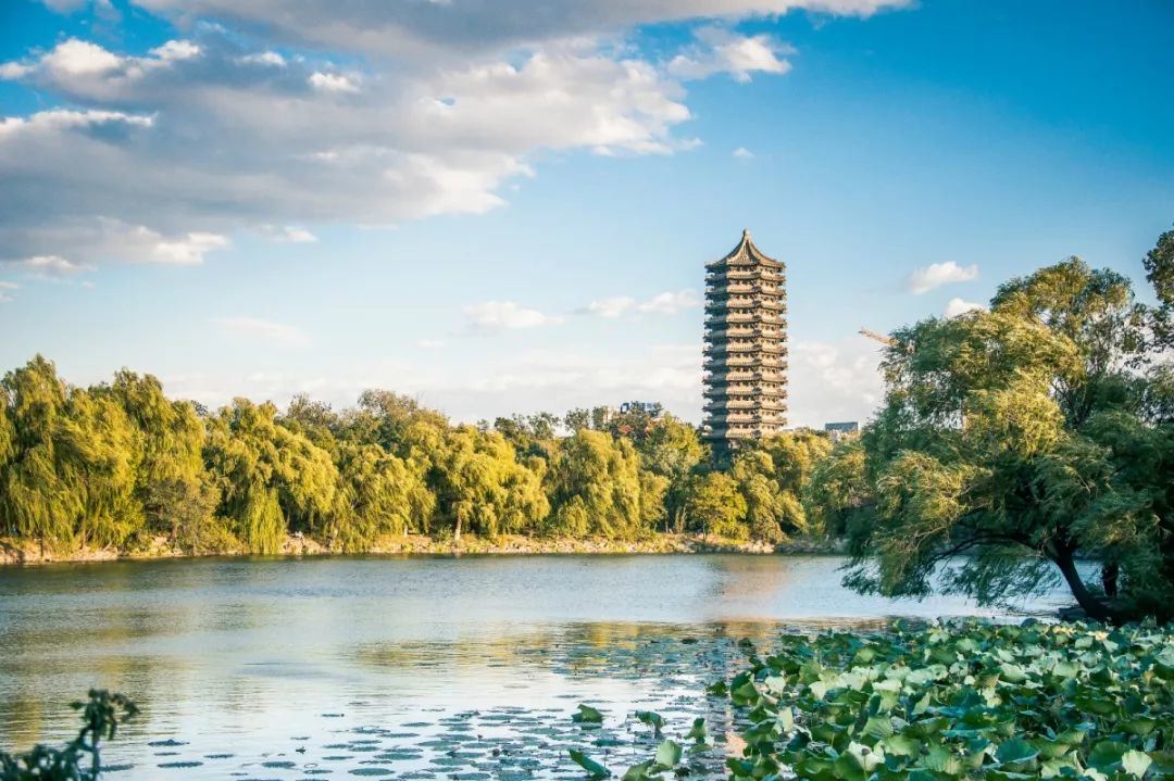 考研北大文学,考研古代文学必读书目