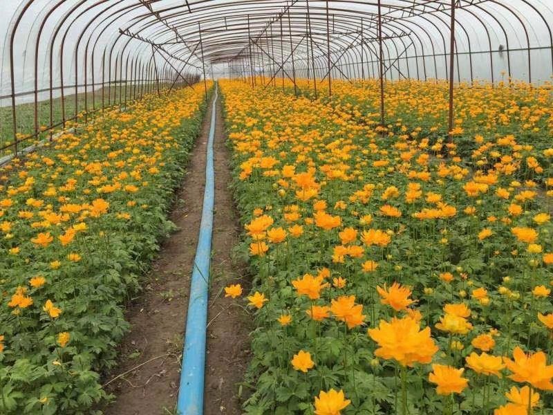 沽源县农村电商,沽源县电商物流生态产业基地项目