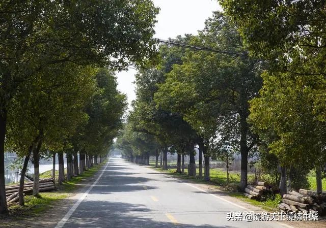 「镜绣中华」直击孝感封城（系列之四）