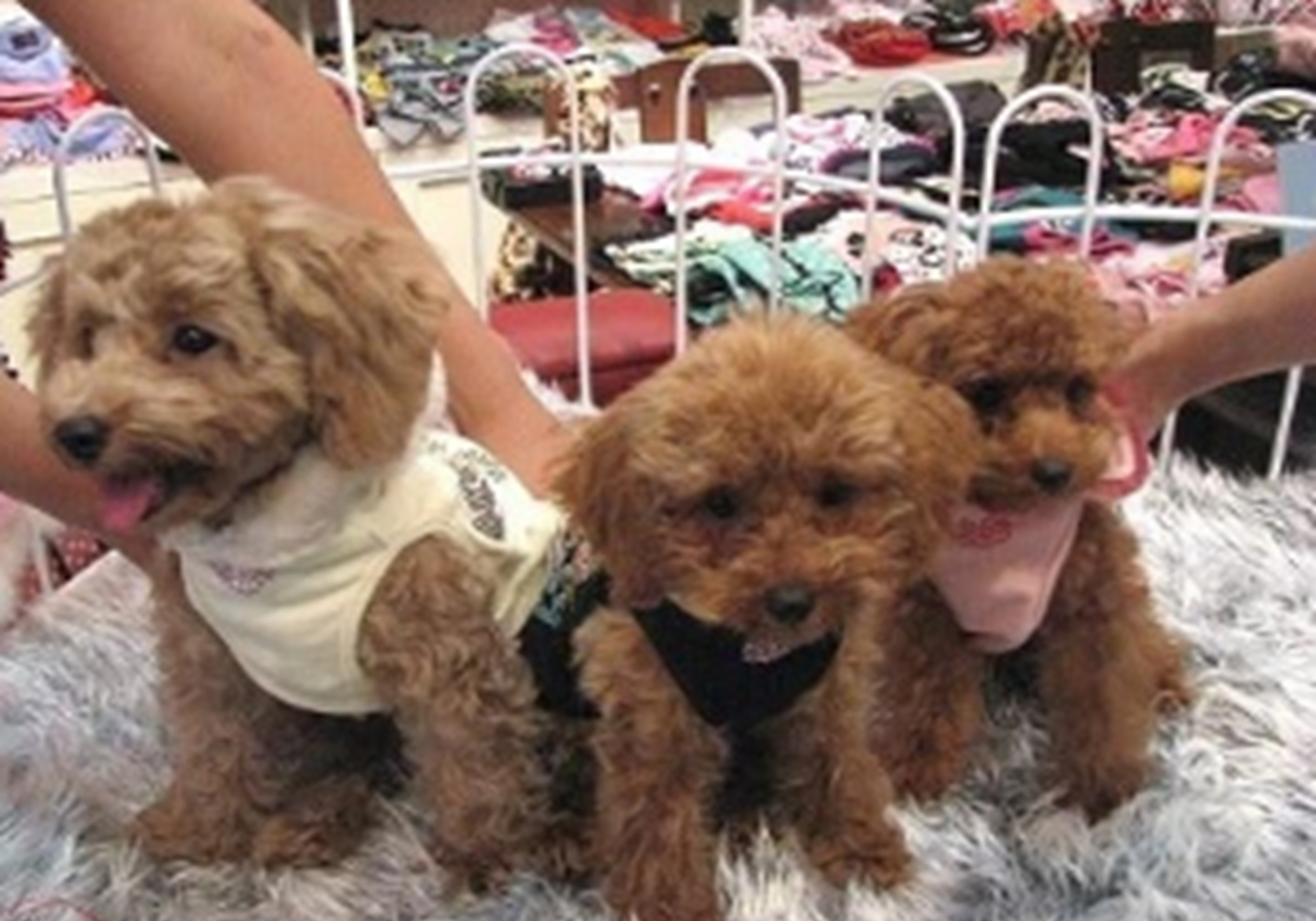 未来哪种小生意最赚钱,未来什么小生意最赚钱