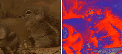 声呐故障判断,声呐有问题怎么解决