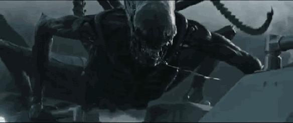 恐怖寄居蟹宠物螃蟹,蟹奴寄生人类