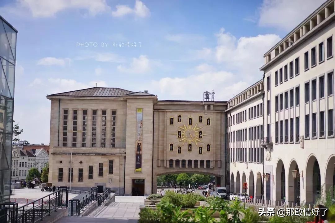 在蓝精灵的故乡邂逅天价纹身*国猪中**，只因我国没有动物保护约束