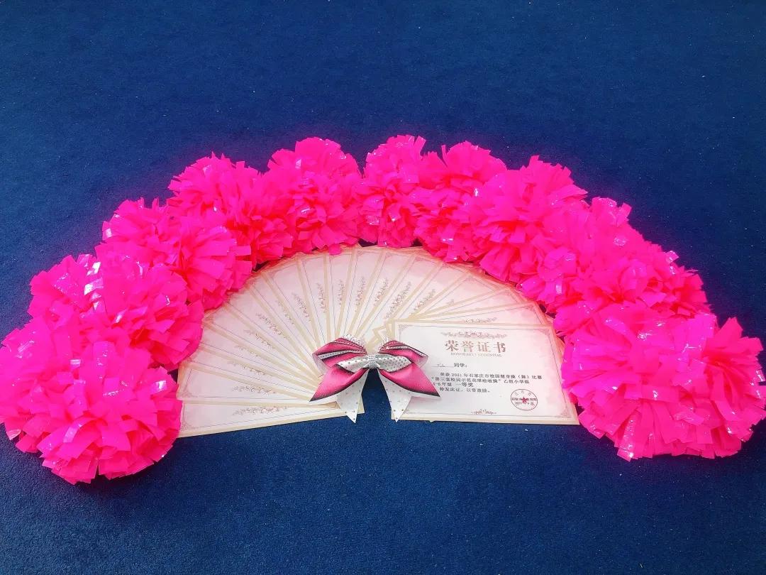 博雅少年奖,博雅学校学子风采大赛