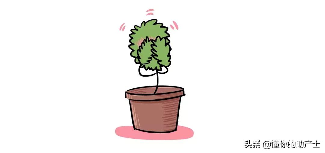 孕妇一定要知道：为什么产后需要压肚子？