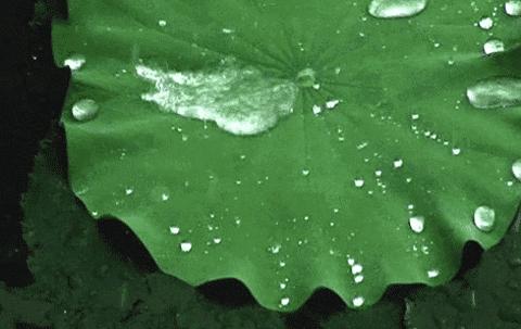 夏日防水喷雾,纳米材料防水喷雾