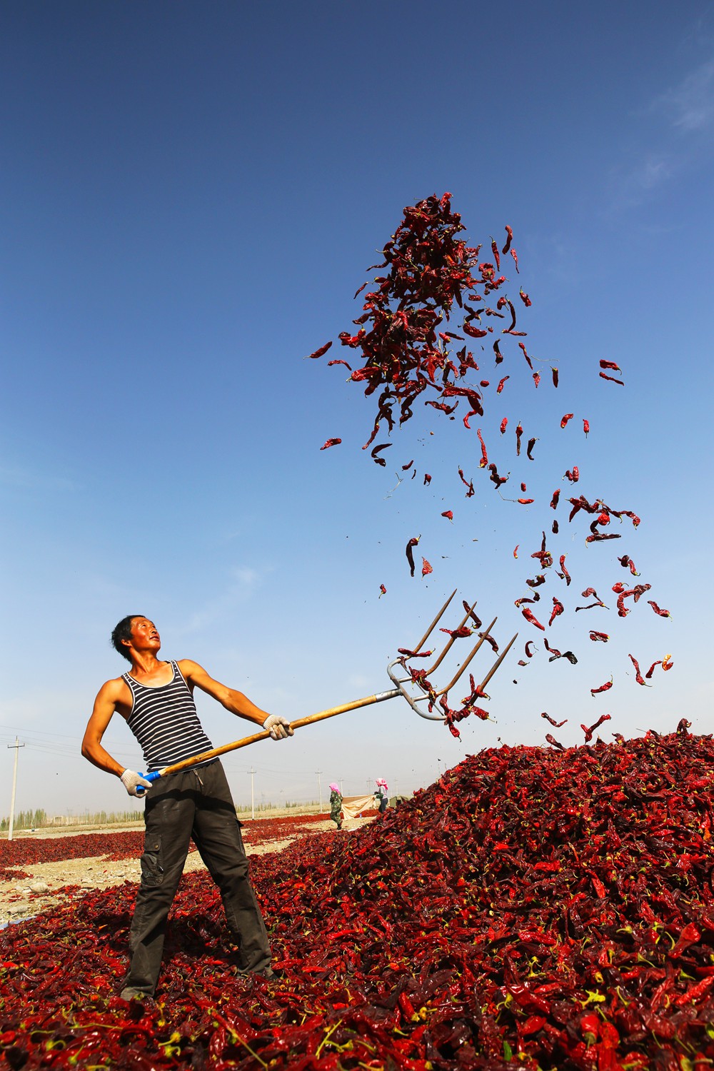丰收快乐节,农民丰收节唱出丰收喜悦