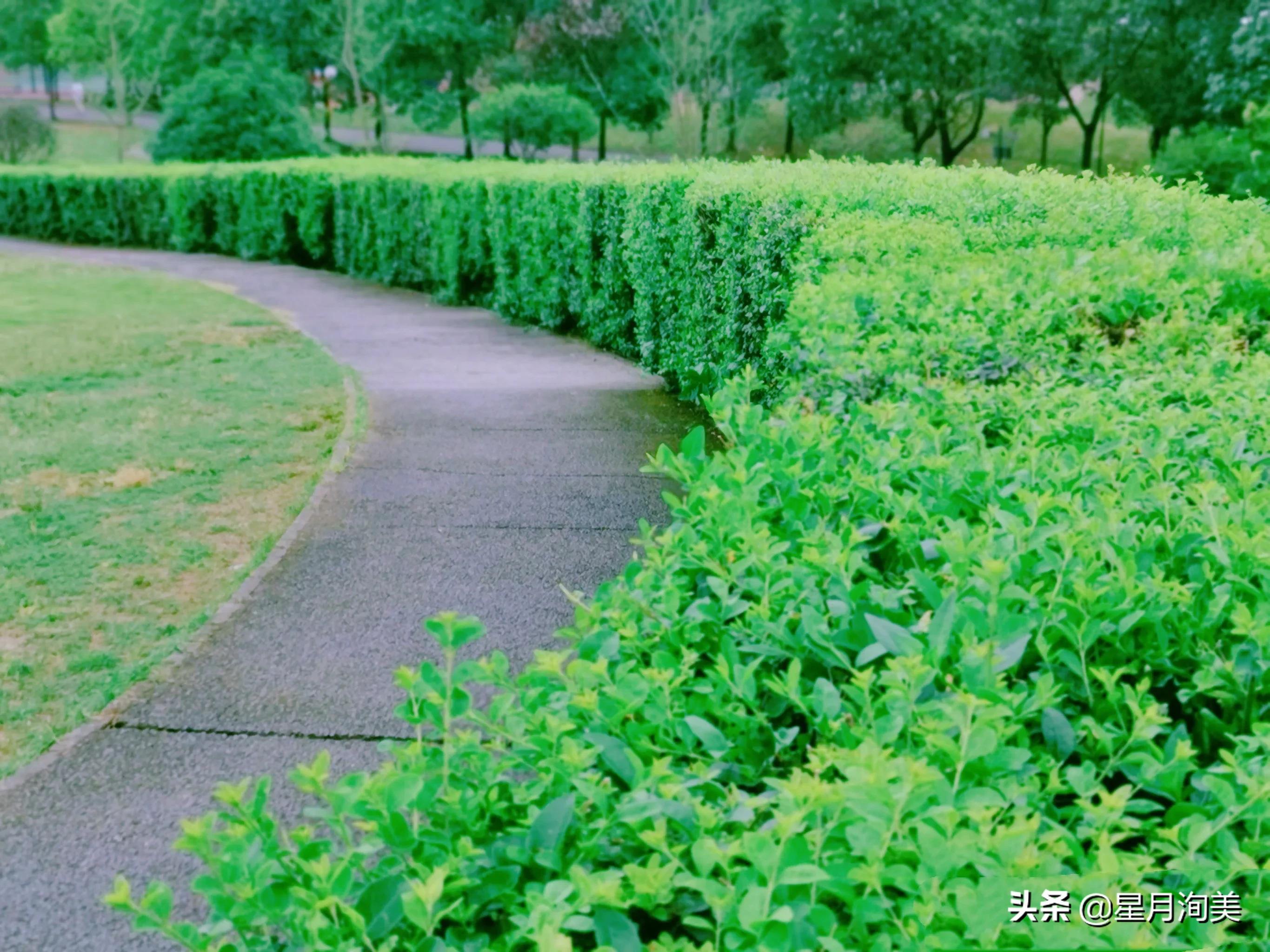 成都小众但值得去的地方,成都必打卡的30个小众上镜地