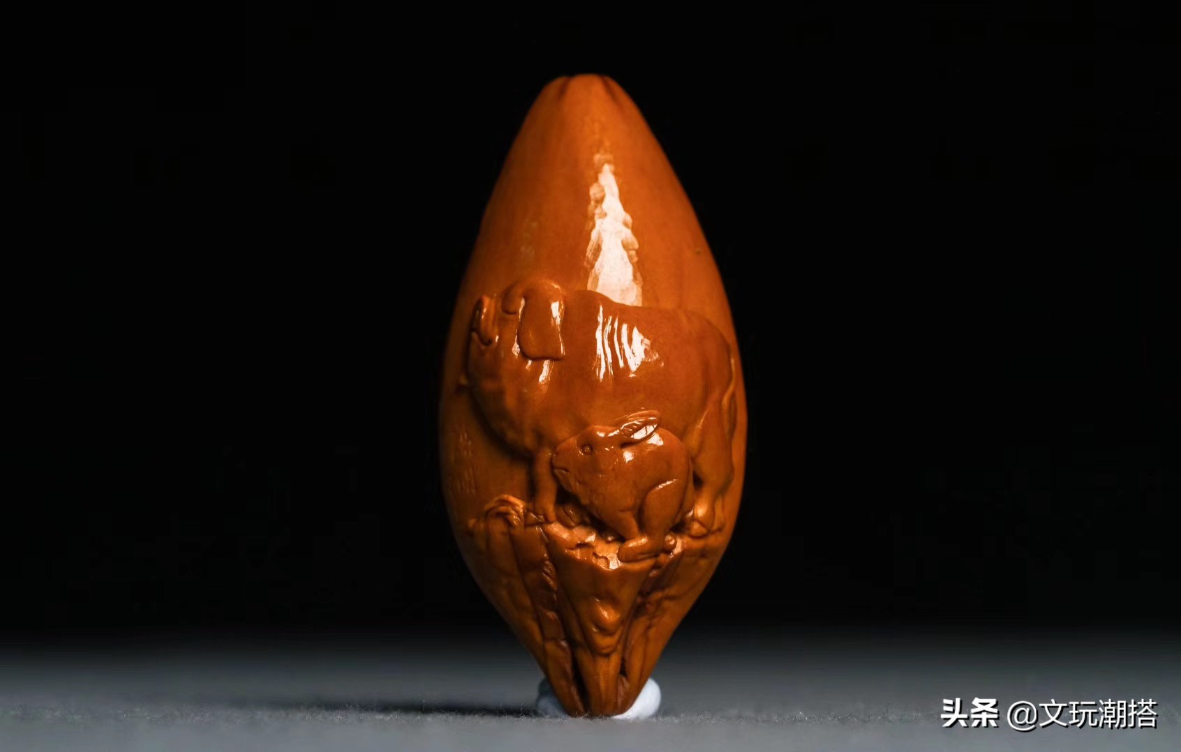 同样是猪同样好吃懒做,同样是猪为什么你这么好看