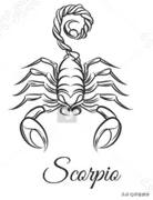 哪个星座最适合当艺术家,艺术家星座统计