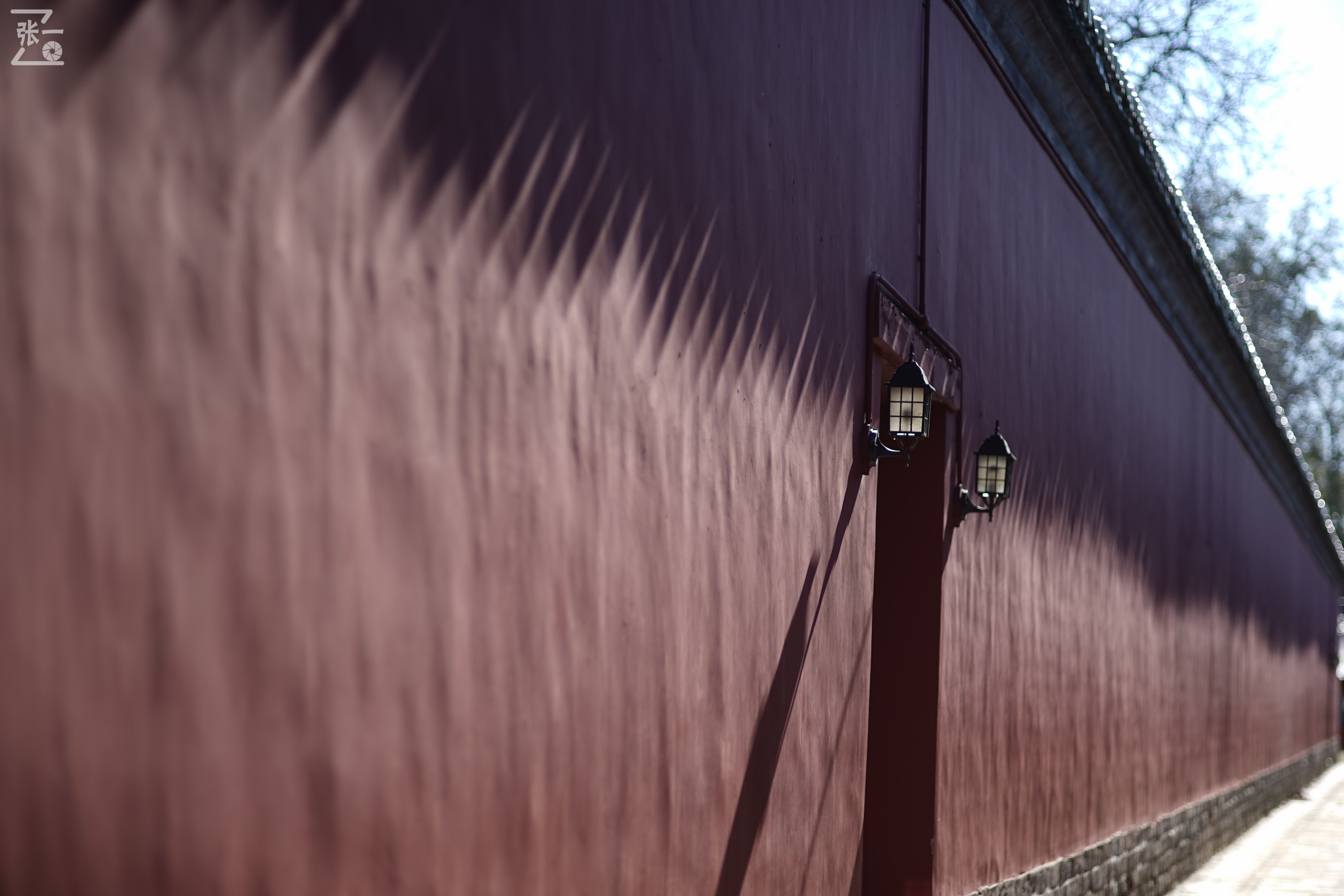 日本老镜头,canon老相机曝光