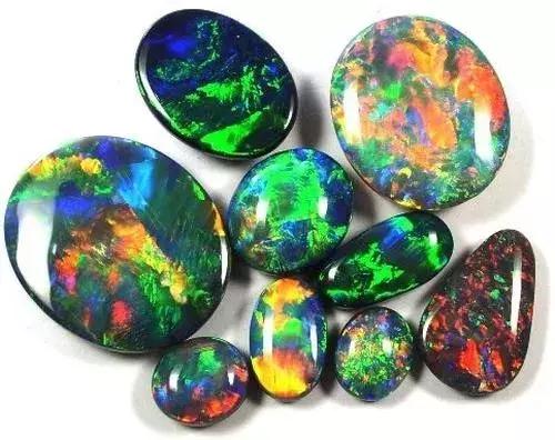 快来围观石英家族，颜值爆表