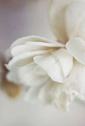 一个人总是特别倒霉,一个人总是倒霉是为什么