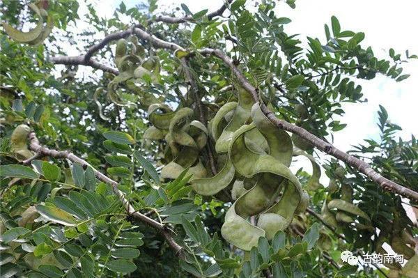 姊佹渤鐗硅壊缇庨鎺ㄨ崘,姊佹渤鐗硅壊缇庨