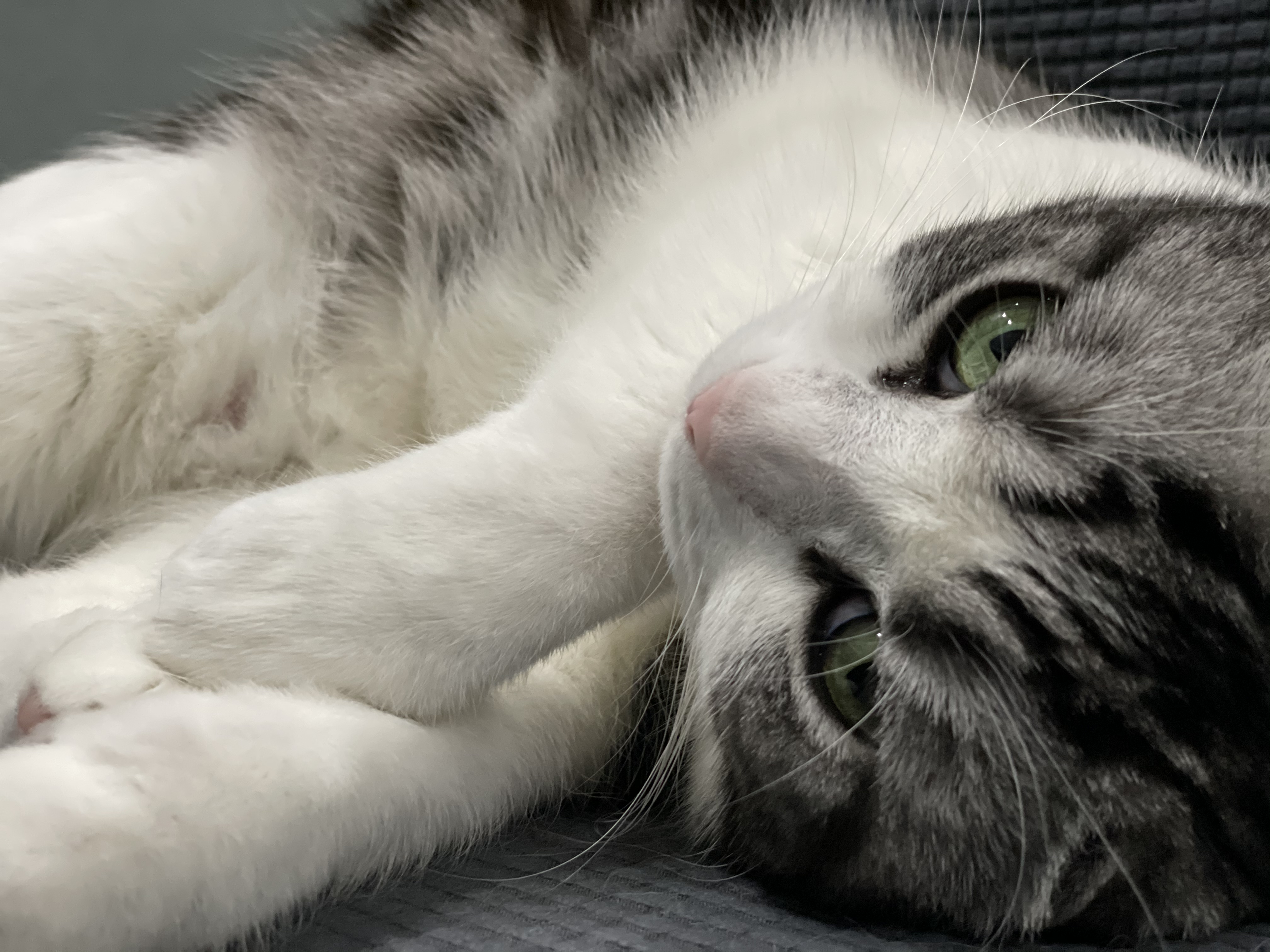 如何提高短线买点的成功率,怎么提高短线买卖成功率