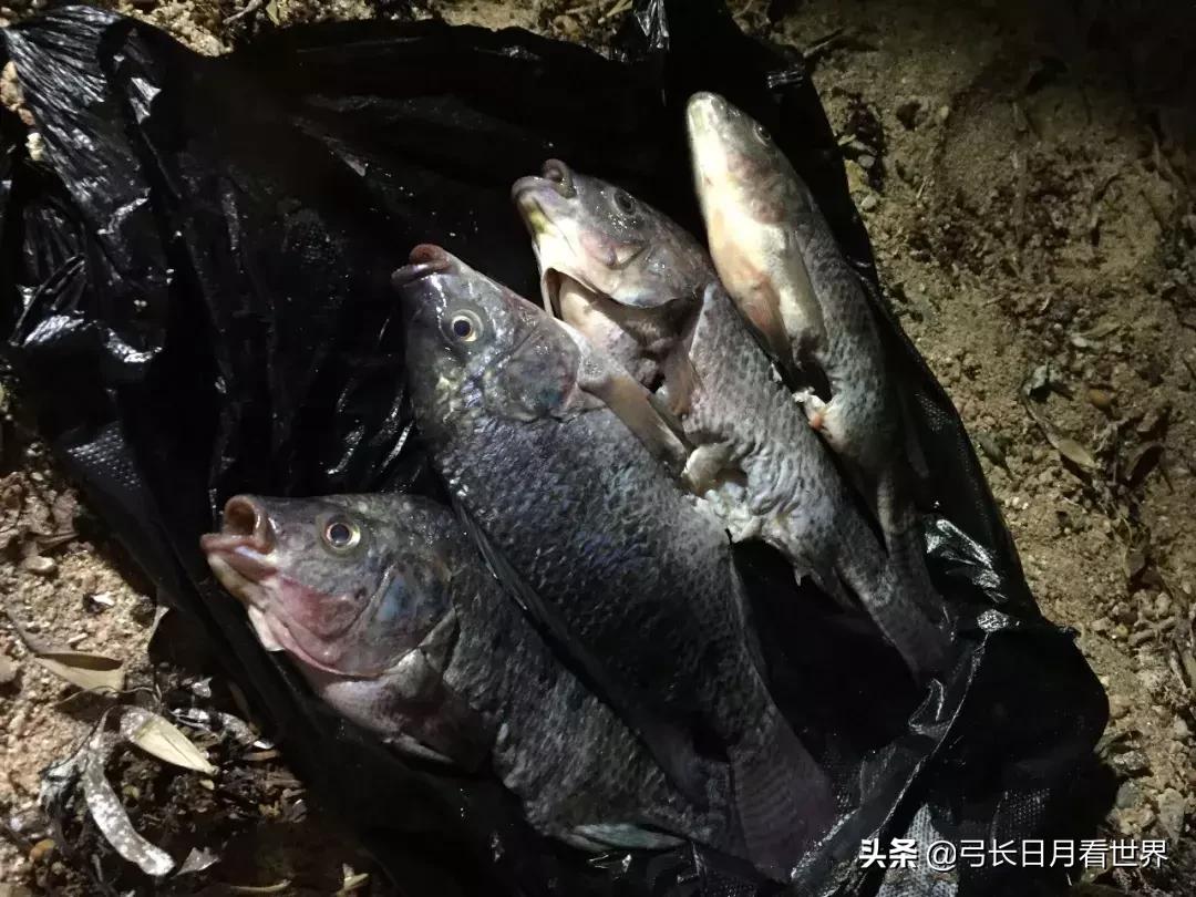 埃及算是花钱最少的国，后来没想到这记录被接下来的苏丹给破了