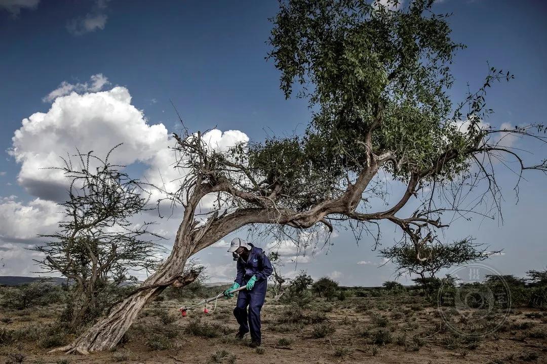 2022索尼世界摄影大赛自然类 (索尼世界摄影大赛自然组作品精选)