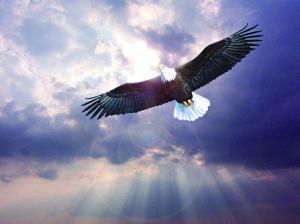 品金｜沙漠、骆驼，在这繁乱的当下如何拥有颗自由之心，你造吗？