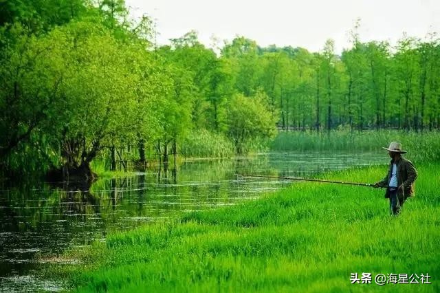 无锡这8大开放式公园高颜值,适合晨夕散步绿荫避暑