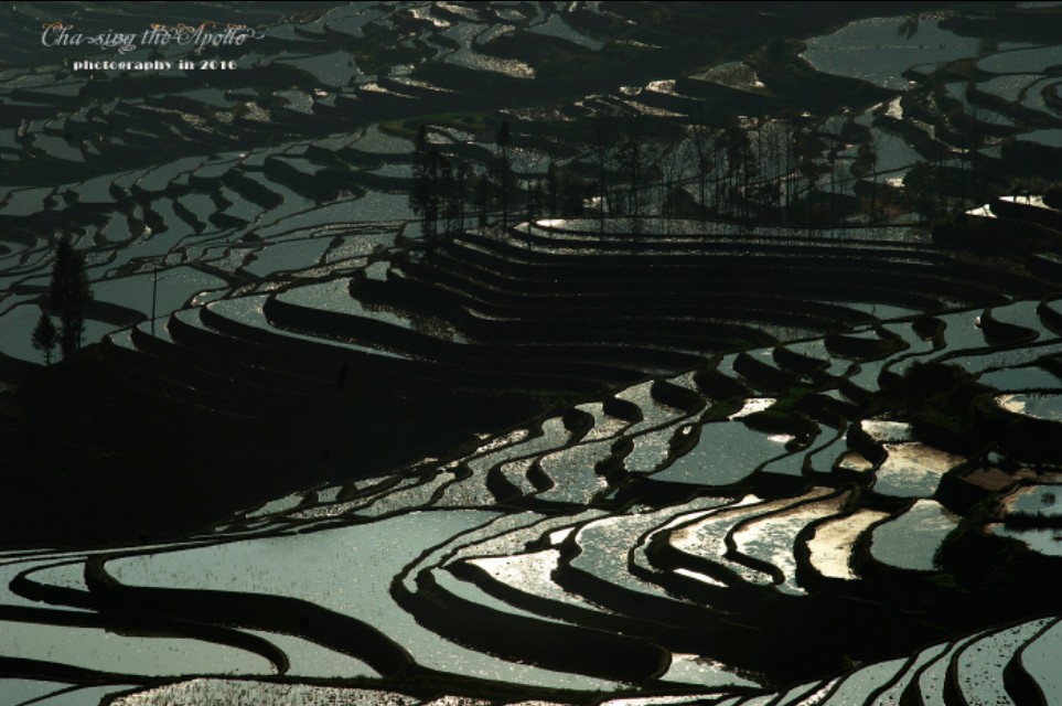 徕卡定焦镜头,徕卡m50镜头评测