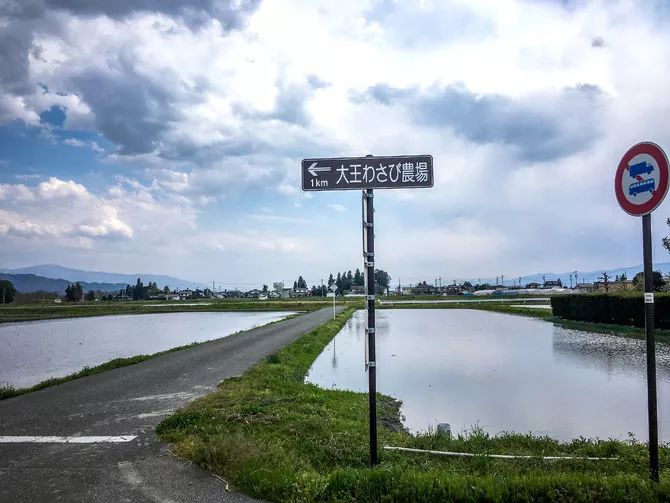 25亩荒地居然年游客竟然超过100万