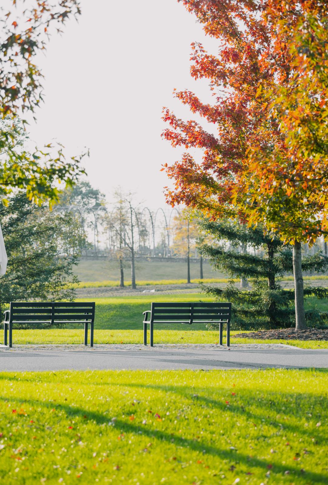 上海最美秋景,上海哪些公园可以拍秋景
