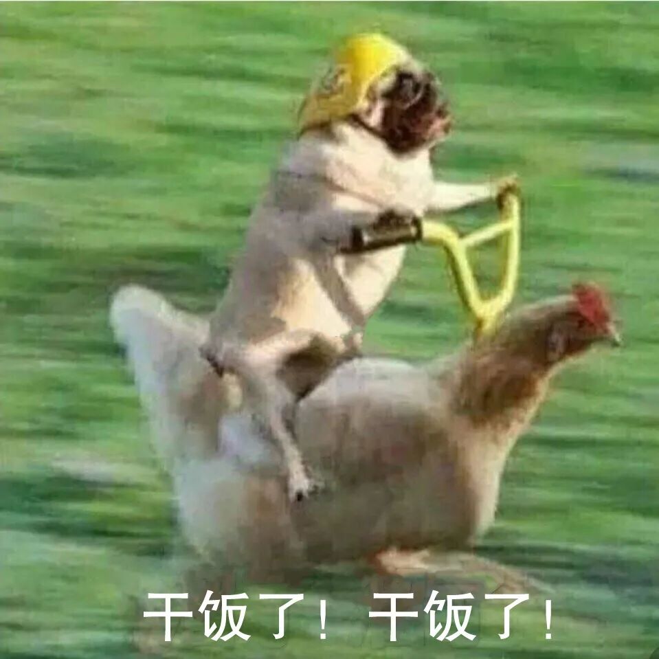 狗狗干粮和湿粮可以混在一起吃吗,狗狗是喂生食好还是熟食好