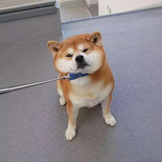 快低头看看你的手指属于什么样的,看一看你的手指是哪个类型的