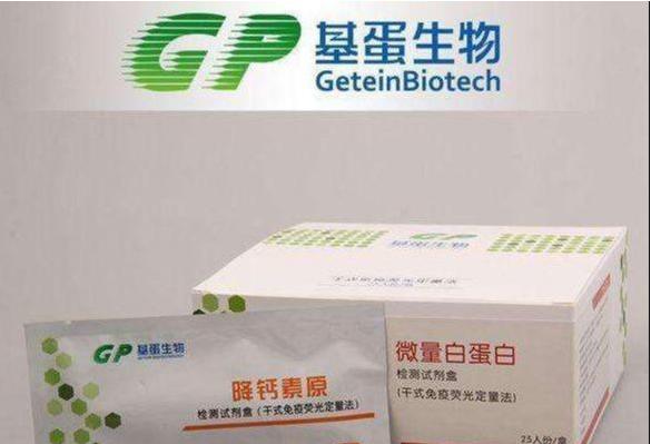 基蛋生物发展前景与投资价值,基蛋生物未来走势