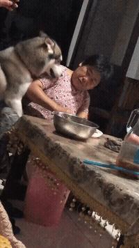 这些手段真的，太老套了