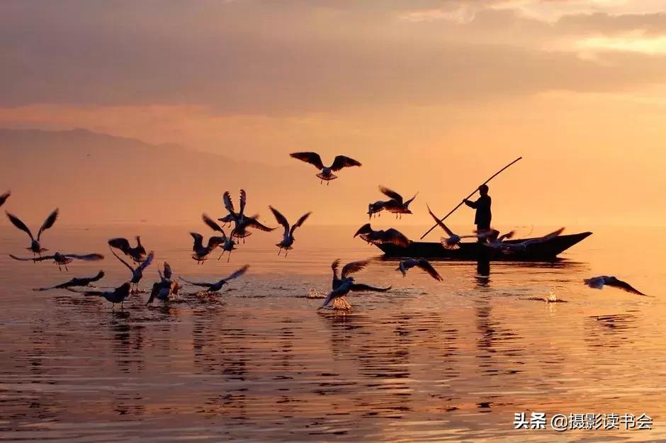 湿版摄影优点,摄影高级班照片优点和缺点