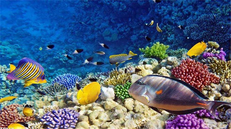 贵阳市多彩贵州城景点推荐,贵州的旅游景点多彩贵州城